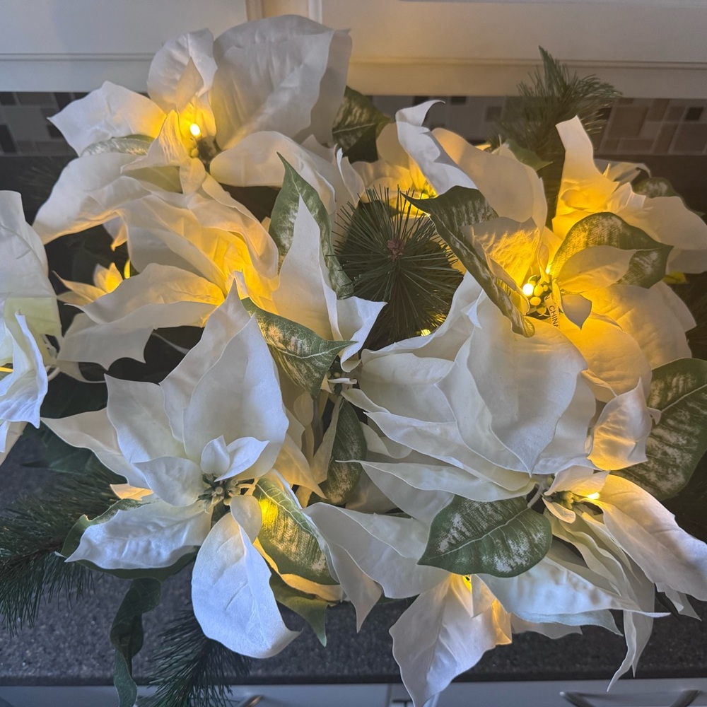 Valerie Parr Hill Illuminated White Velvet Poinsettia Window Box 15" Mtl Planter